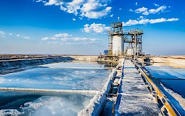Química en procesos extractivos de derivados inorgánicos de litio - online en vivo