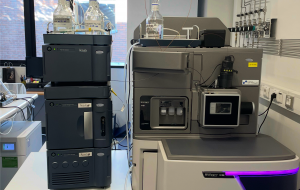 imagen de card